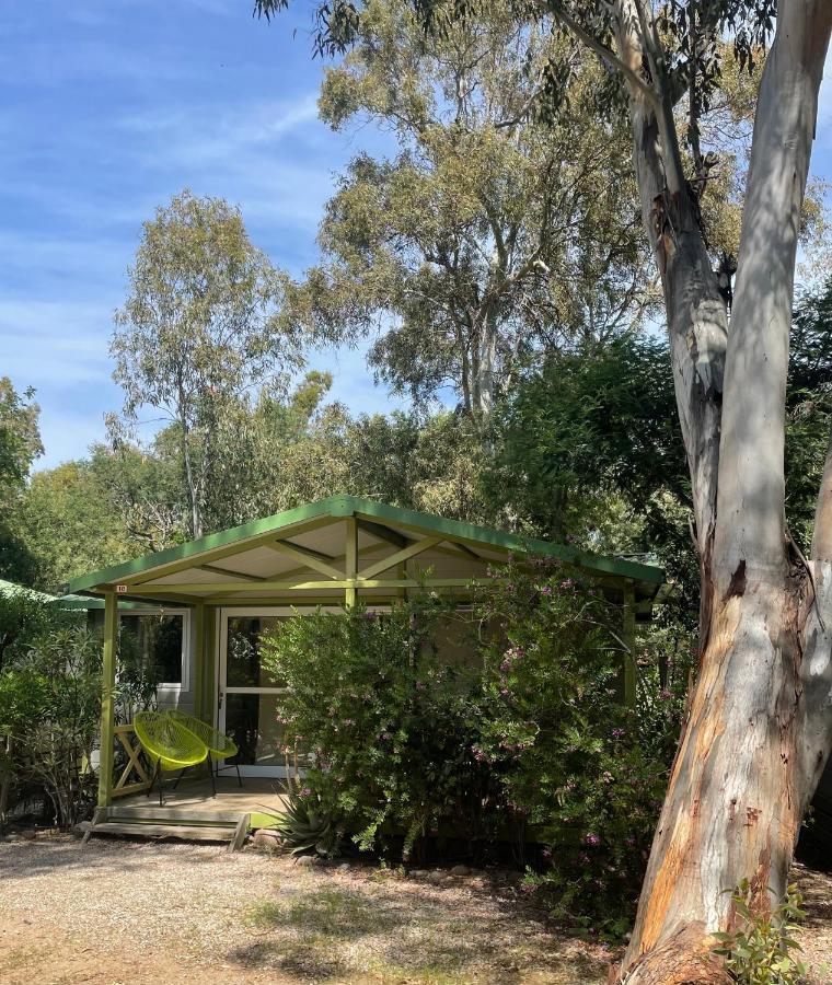 Camping La Cle Des Champs Calvi  Bagian luar foto