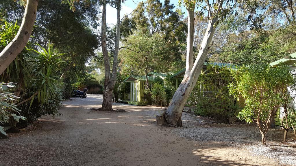 Camping La Cle Des Champs Calvi  Bagian luar foto