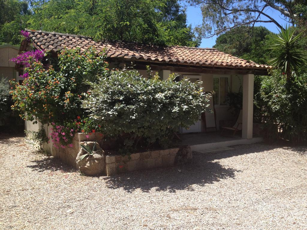 Camping La Cle Des Champs Calvi  Bagian luar foto