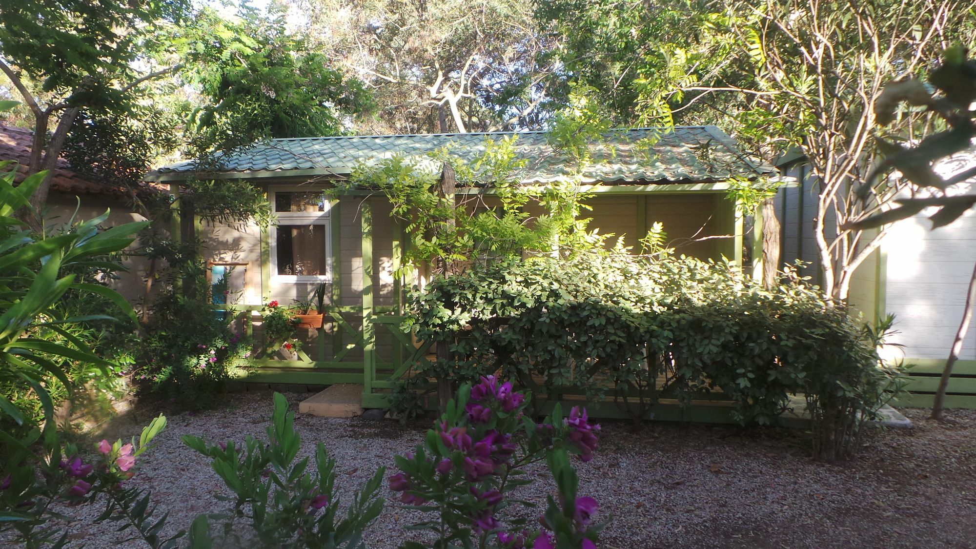 Camping La Cle Des Champs Calvi  Bagian luar foto