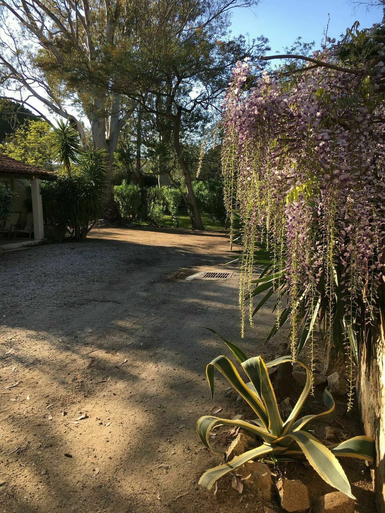 Camping La Cle Des Champs Calvi  Bagian luar foto